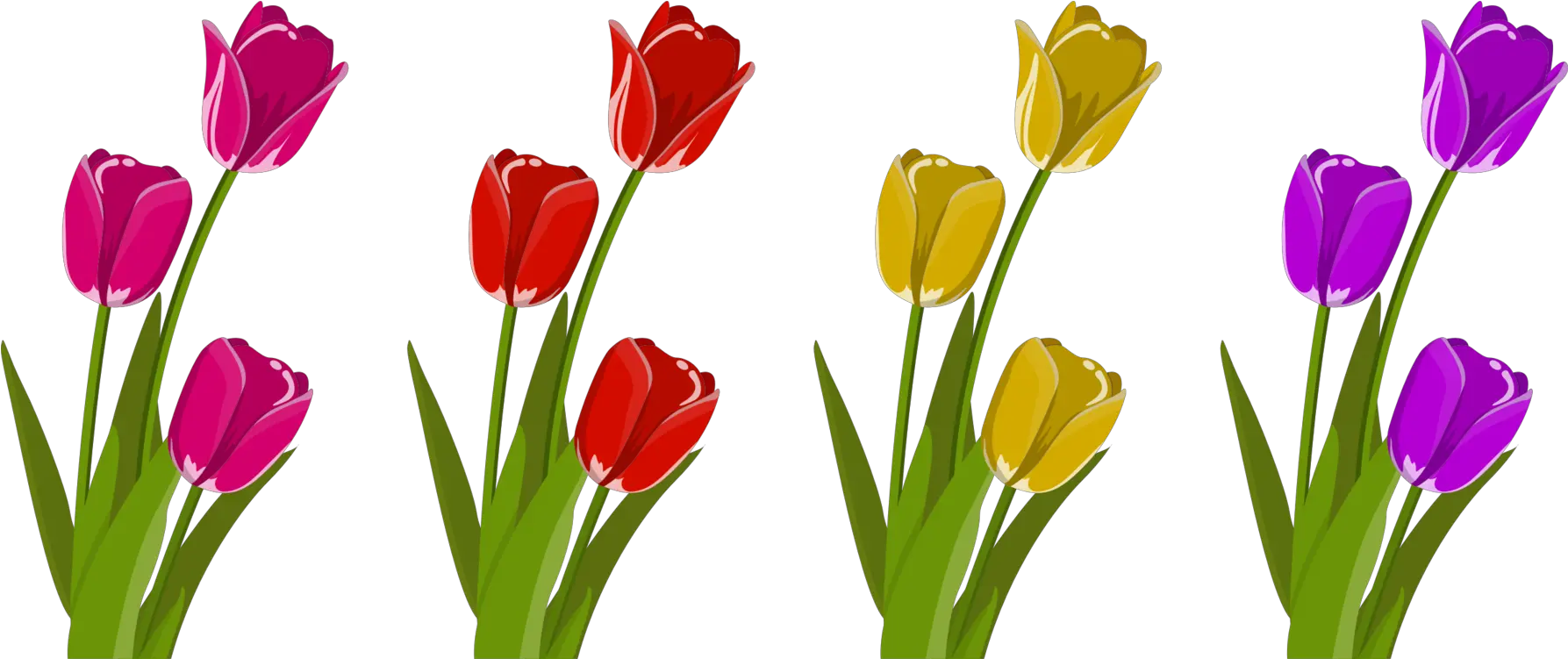 Plantflowermeadow Png Clipart Royalty Free Svg Png Clipart Tulip Flower Svg Meadow Png