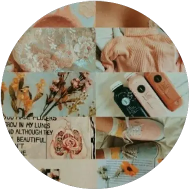 Aesthetic Fall Aesthetics 304312086241211 By Summervscoo Peach Pastel Aesthetic Pfp Png Flower Icon For Twitter