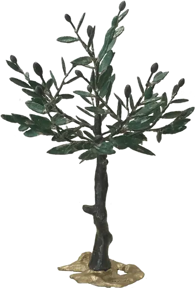 Bronze Olive Tree 002 Kallistigallery Gambel Oak Png Olive Tree Png