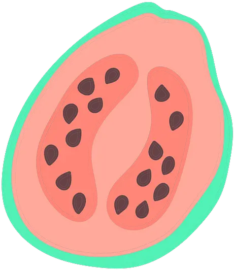 Half Guava Clipart Free Download Transparent Png Creazilla Illustration Guava Png