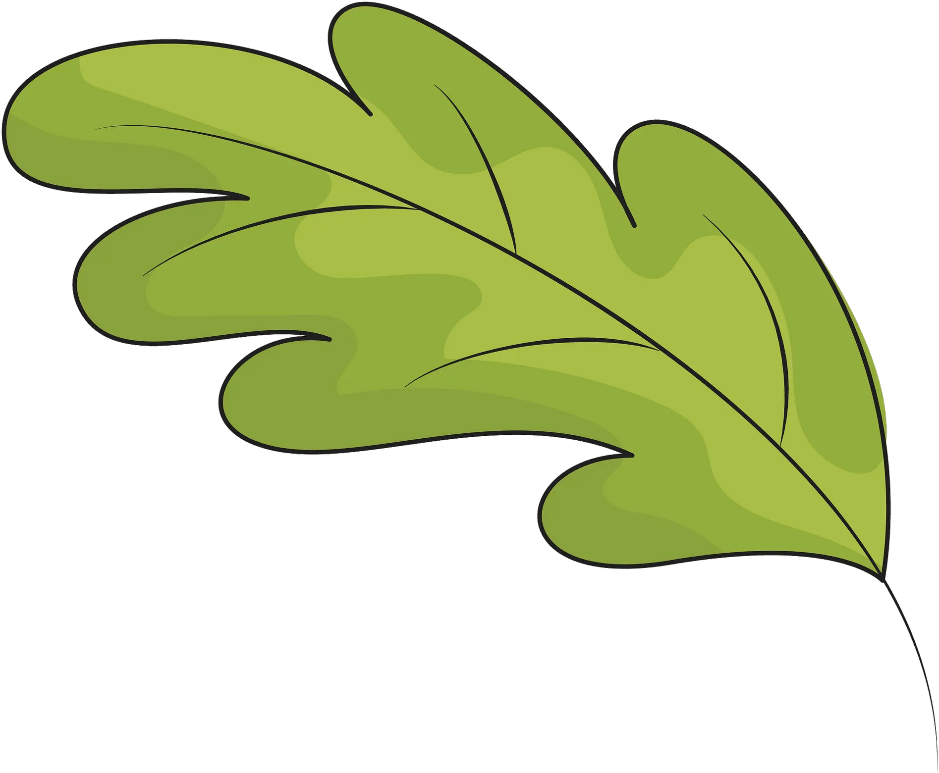 Green Oak Leaf Clipart Green Fall Leaf Clipart Png Leaf Clipart Png png