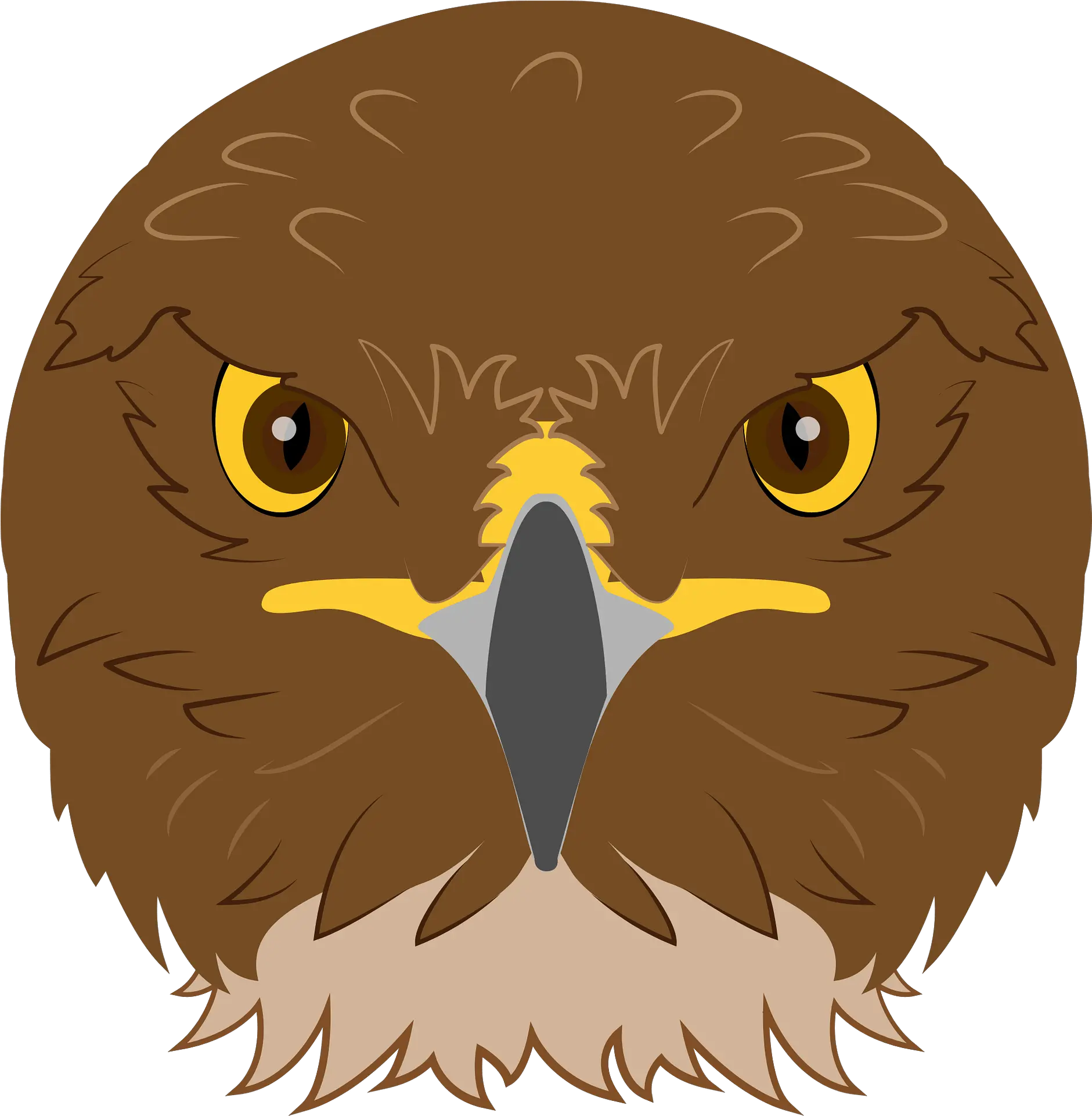 Hawk Face Clipart Free Download Transparent Png Creazilla Hawk Head Png Clipart Hawk Png