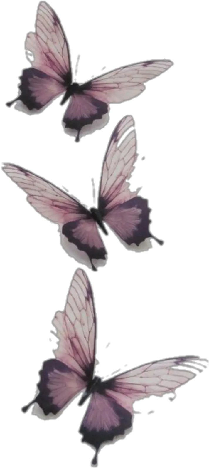 Download Butterfly Butterflies Vintage Transparent Tumblr Transparent Butterflies Png Butterfly Transparent png
