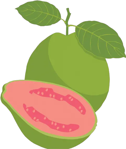 Png Guava Clipart Png Guava Png