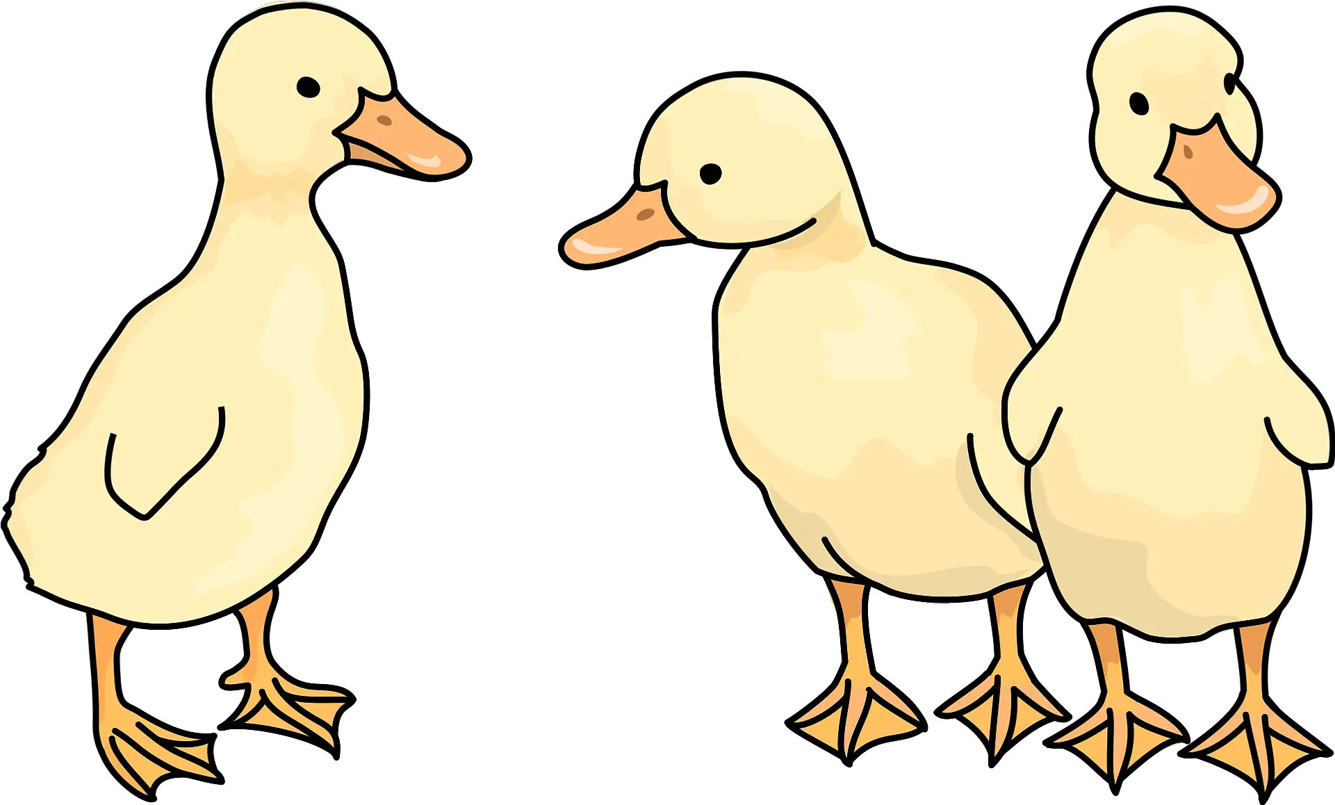 Duckling Bird Clipart Free Download Transparent Png Bird Clip Art Birds Transparent png