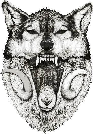 Trans Parentmade Transparent By Transparent Wolf Sheep In Clothing Tattoo Png Wolf Transparent