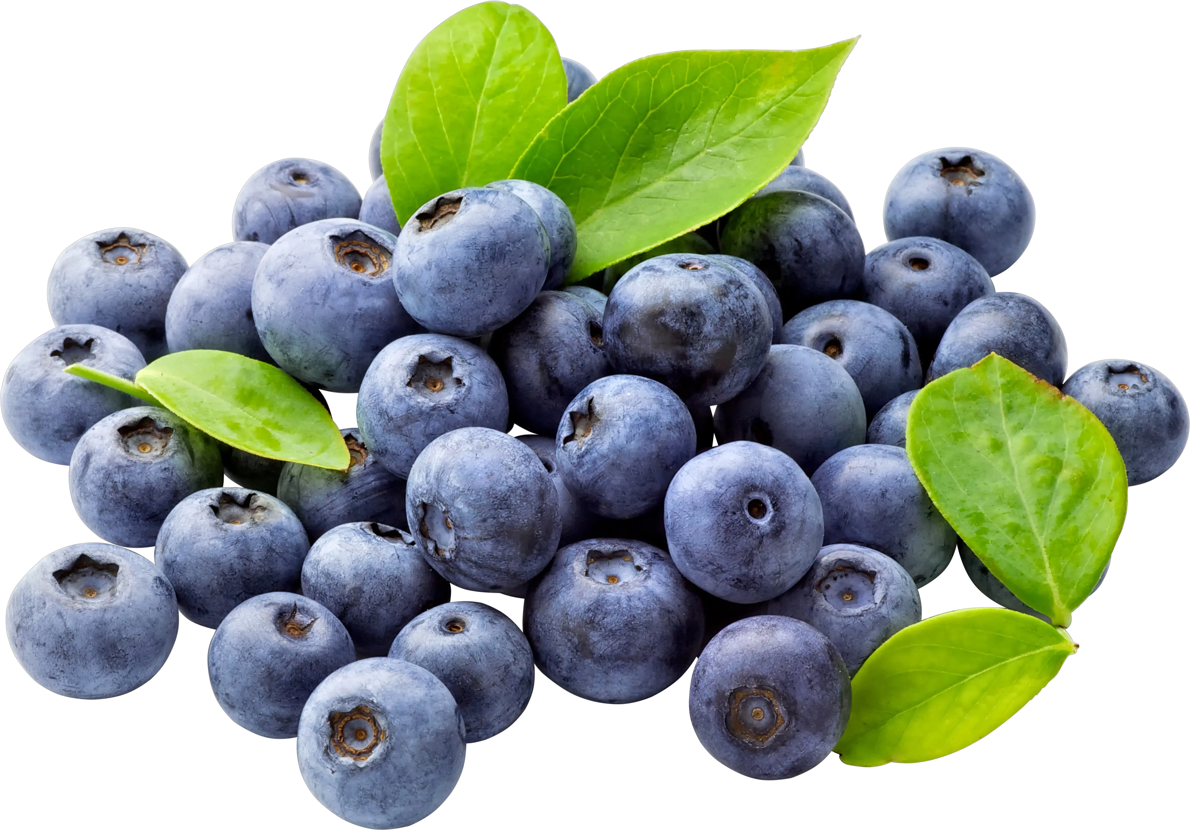 Blueberries Png Image Blueberries Png Berries Png
