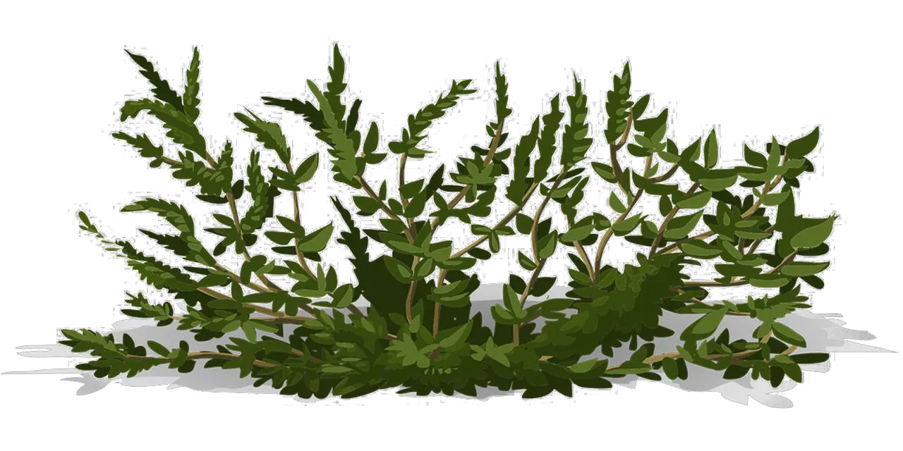 Download Bushes Png Image Background Transparent Background Bush Png Bushes Transparent
