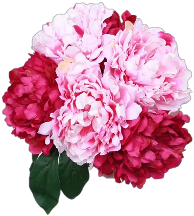 Pink Peony Png Find Gorgeous Premade Silk Wedding Bouquets Common Peony Peony Png