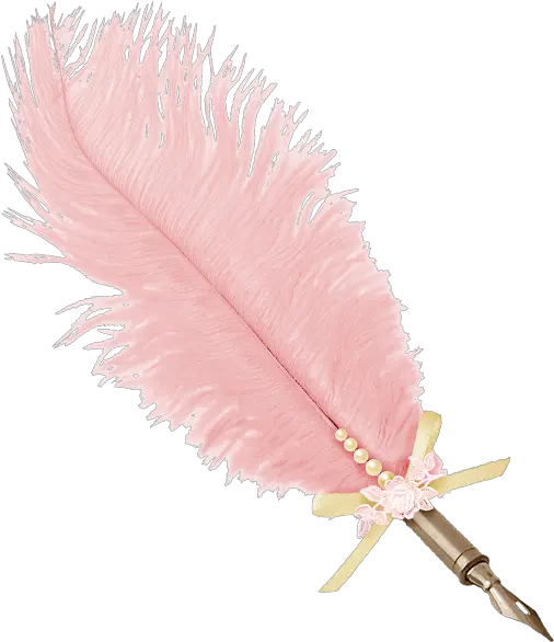 Download Pink Feathers Photo Feather Pen Png Transparent Pink Feathers Png Free Quill Png