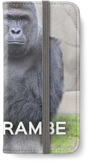 Download Hd Harambe Gorilla Face High Resolution Png Harambe Transparent