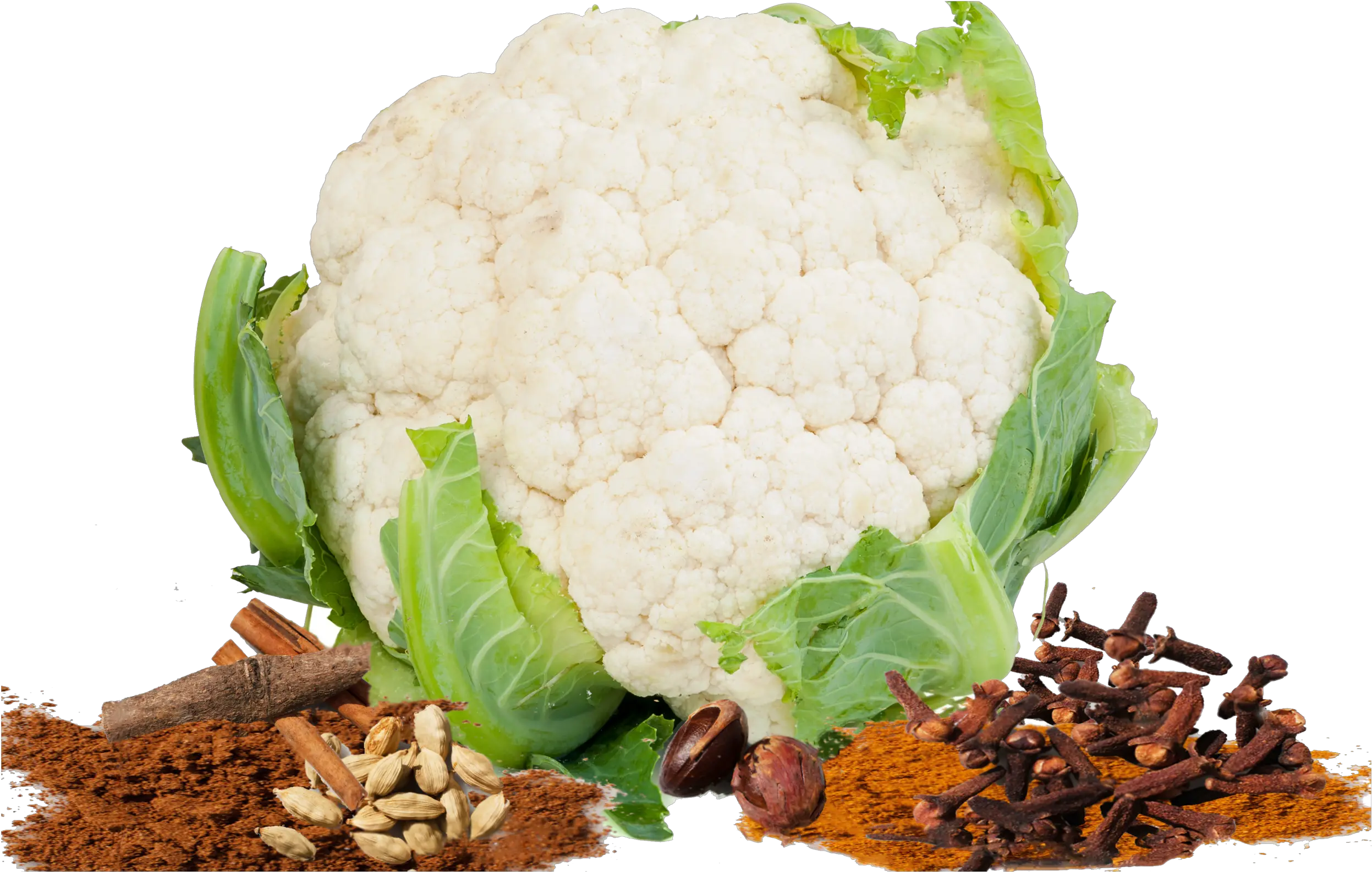 Download Hd Cauliflower Png Transparent Cauliflower With White Baground Cauliflower Png