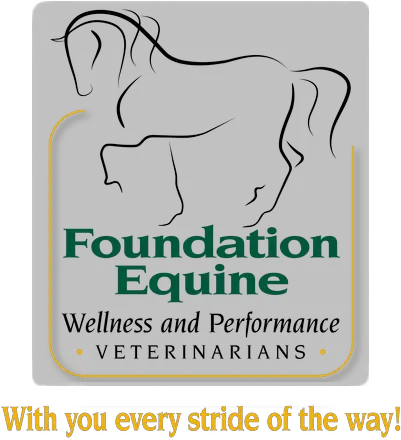 Home Veterinarian In Crosswicks Nj Foundation Equine Line Art Png Horse Logos