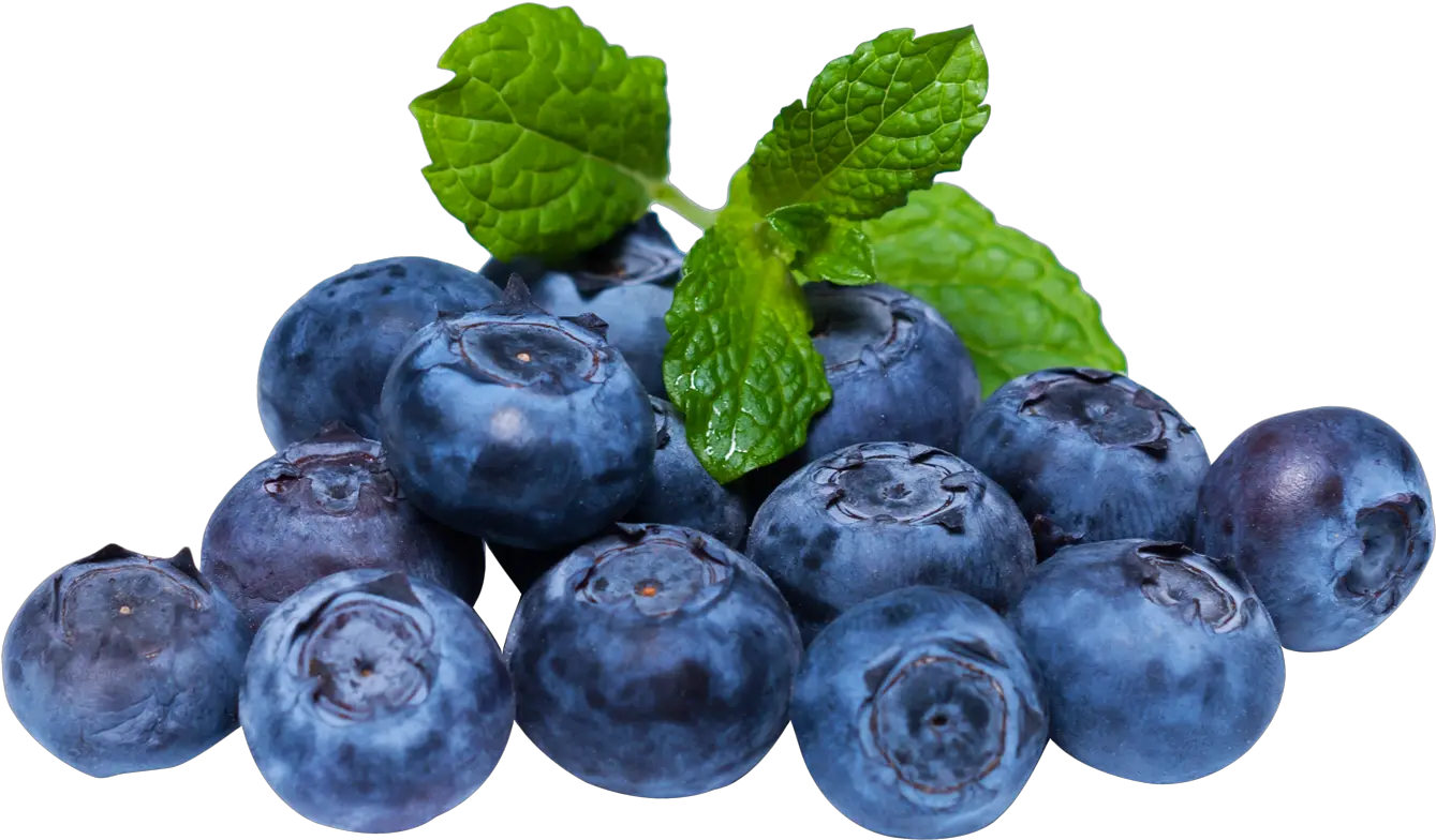 Download Blueberry With Leaf Png Image Blueberries Png Berry Png