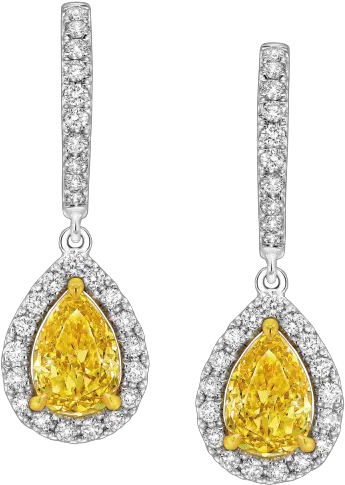 Fancy Intense Yellow Pear Shaped Earrings Larry Jewelry Earrings Png Yellow Diamond Png