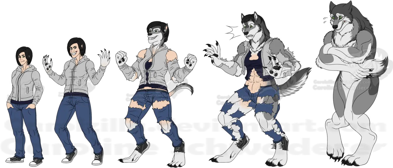 Transformation Drawing Werewolf Werewolf Sonic The Werehog Transformation Png Werewolf Transparent