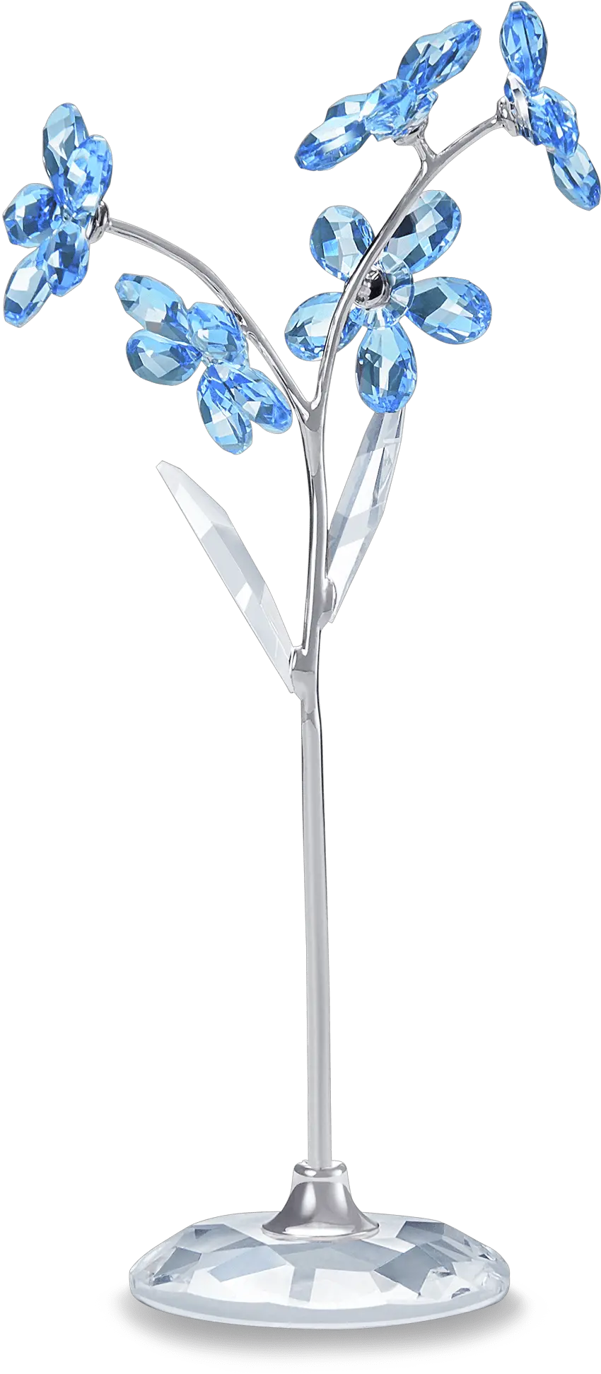 Swarovski Flower Dreams Forgetmenot Large Flower Dreams Swarovski Png Forget Me Not Png