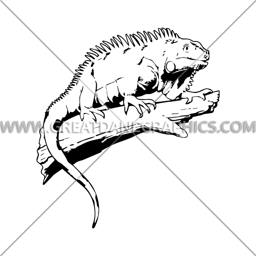 Colorful Iguana Production Ready Artwork For T Shirt Printing Green Iguana Png Iguana Transparent Background
