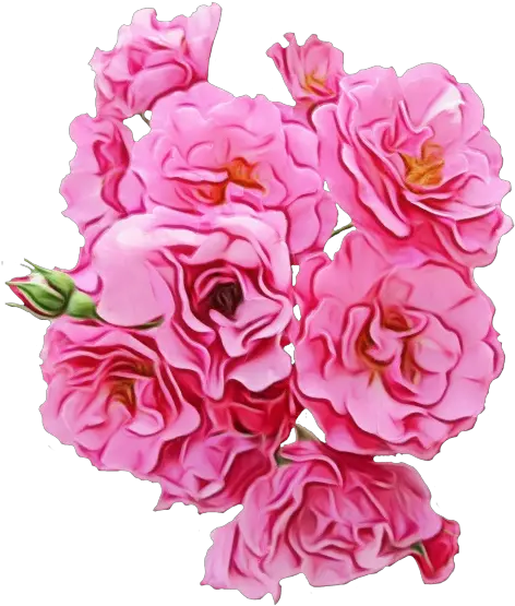 Pink Flowers Garden Roses Peony Png Download 500601 Transparent Pink Png Flowers Garden Flowers Png