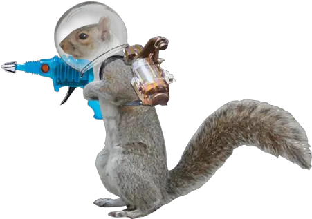 Png Transparent Squirrel Omg Laser Guns Pew Pew Pew Squirrel Transparent Background