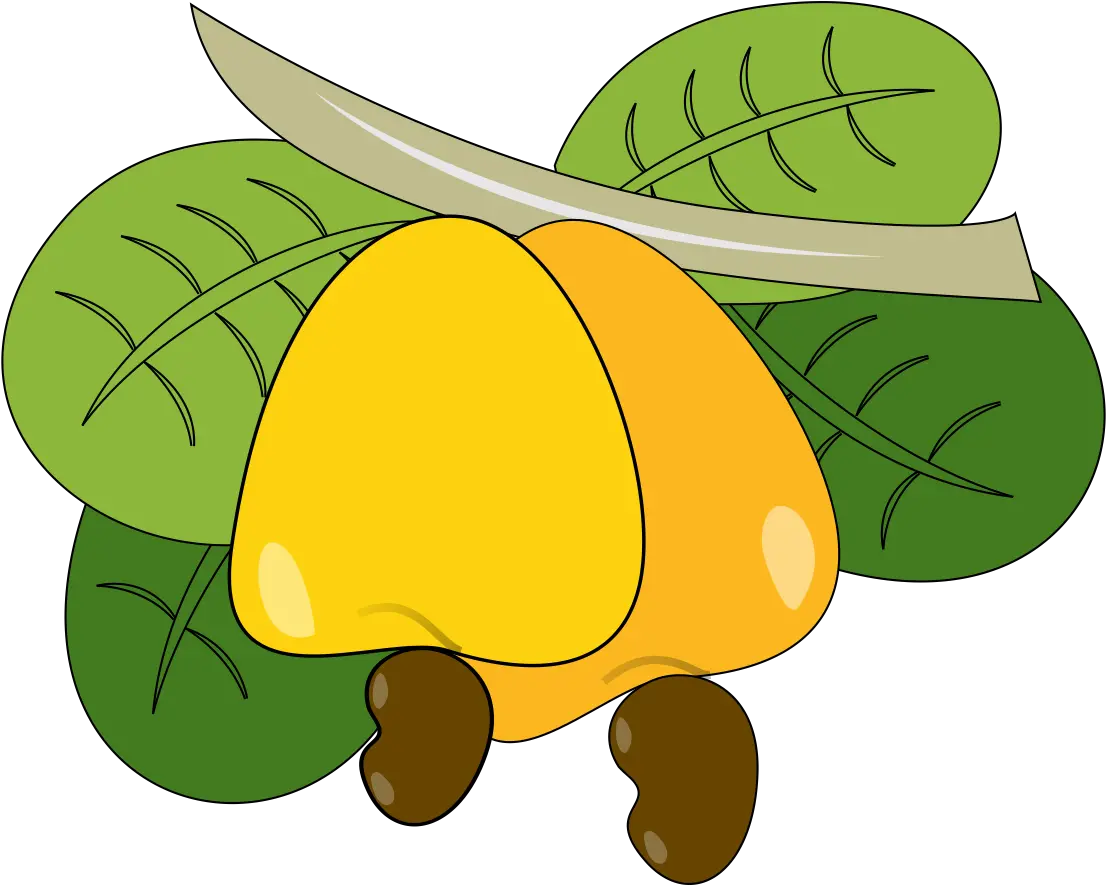 Download Cashew Yellow Nut Free Pnglogocoloring Pages Cashew Clipart Png Cashew Png