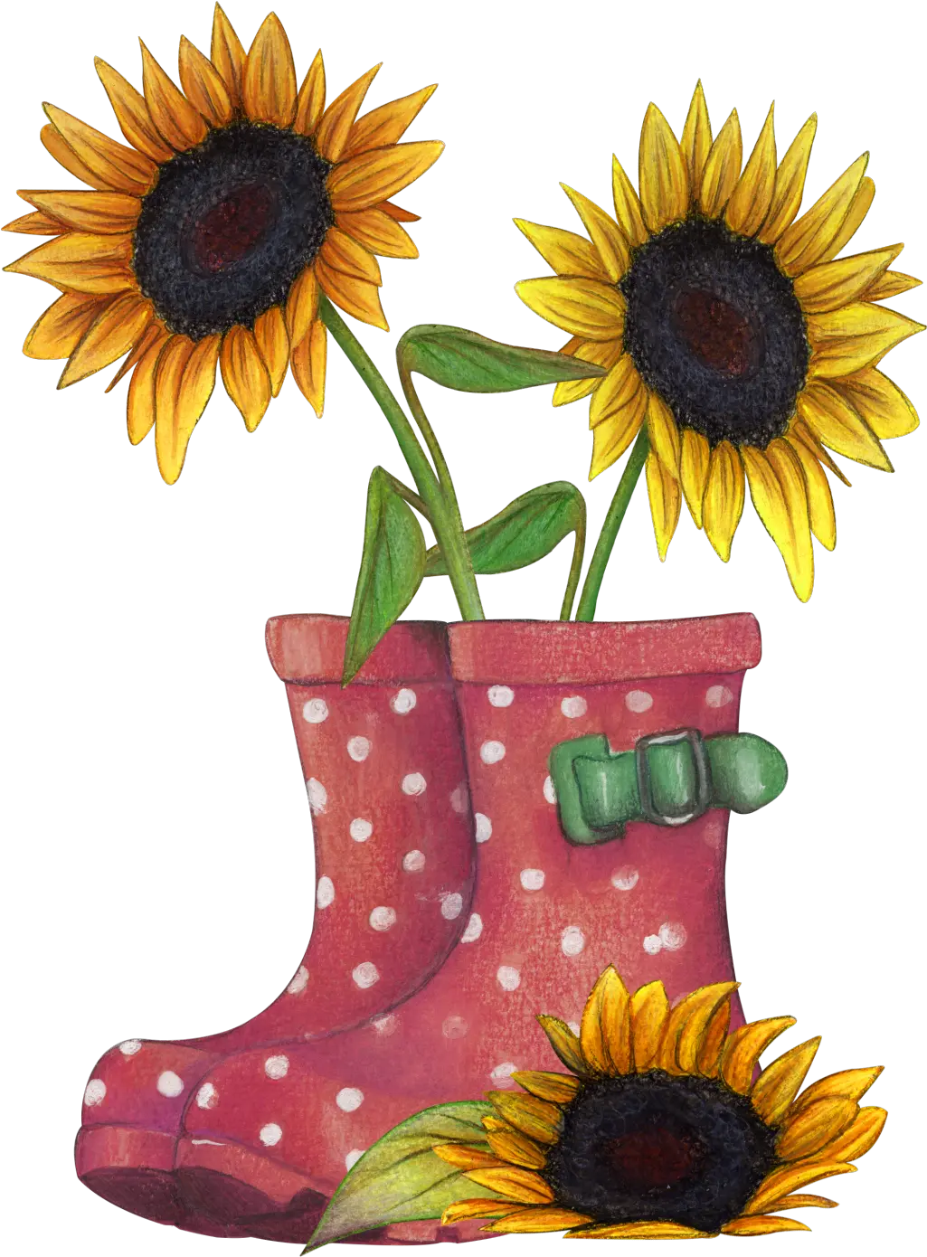 Download Sunflower Png Transparent Placed In Rain Boots Sunflowers Rain Boots Transparent Sunflowers