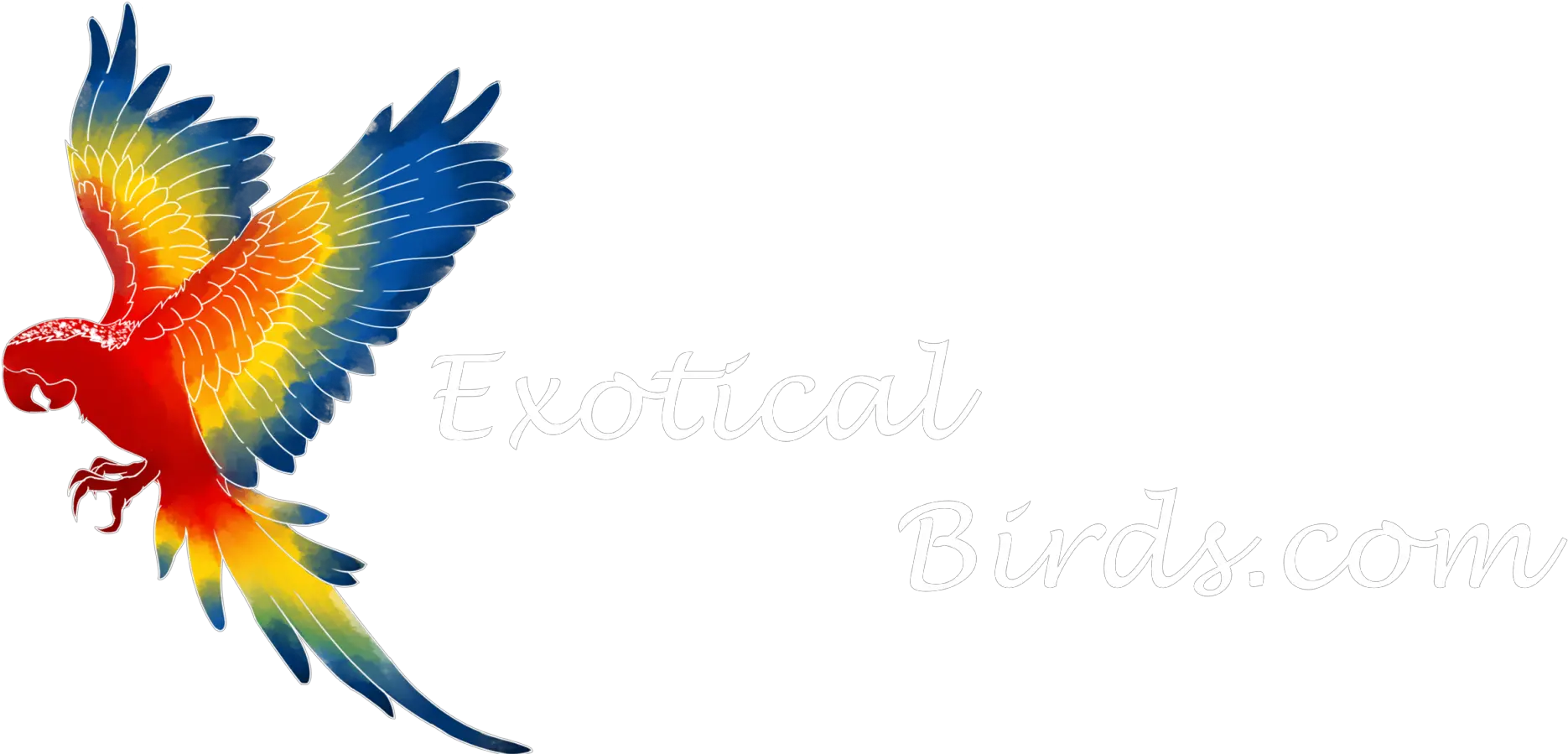 Brazilian Bird Png Transparent Clipart Macaw Png Bird Png