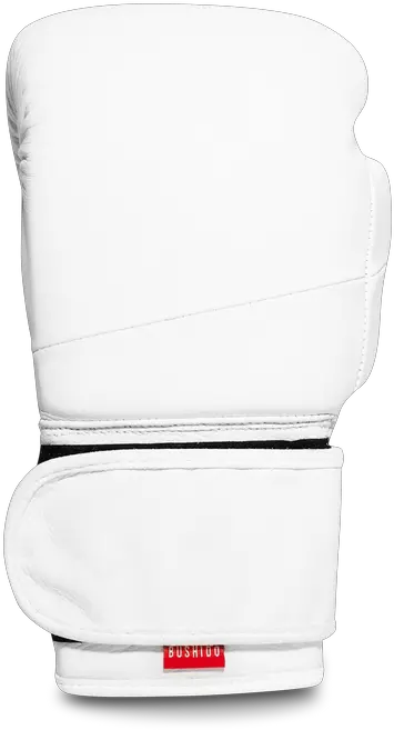 Icon Pro Training Boxing Gloves Snow U2013 Bushido Hand Dryer Png Boxer Icon