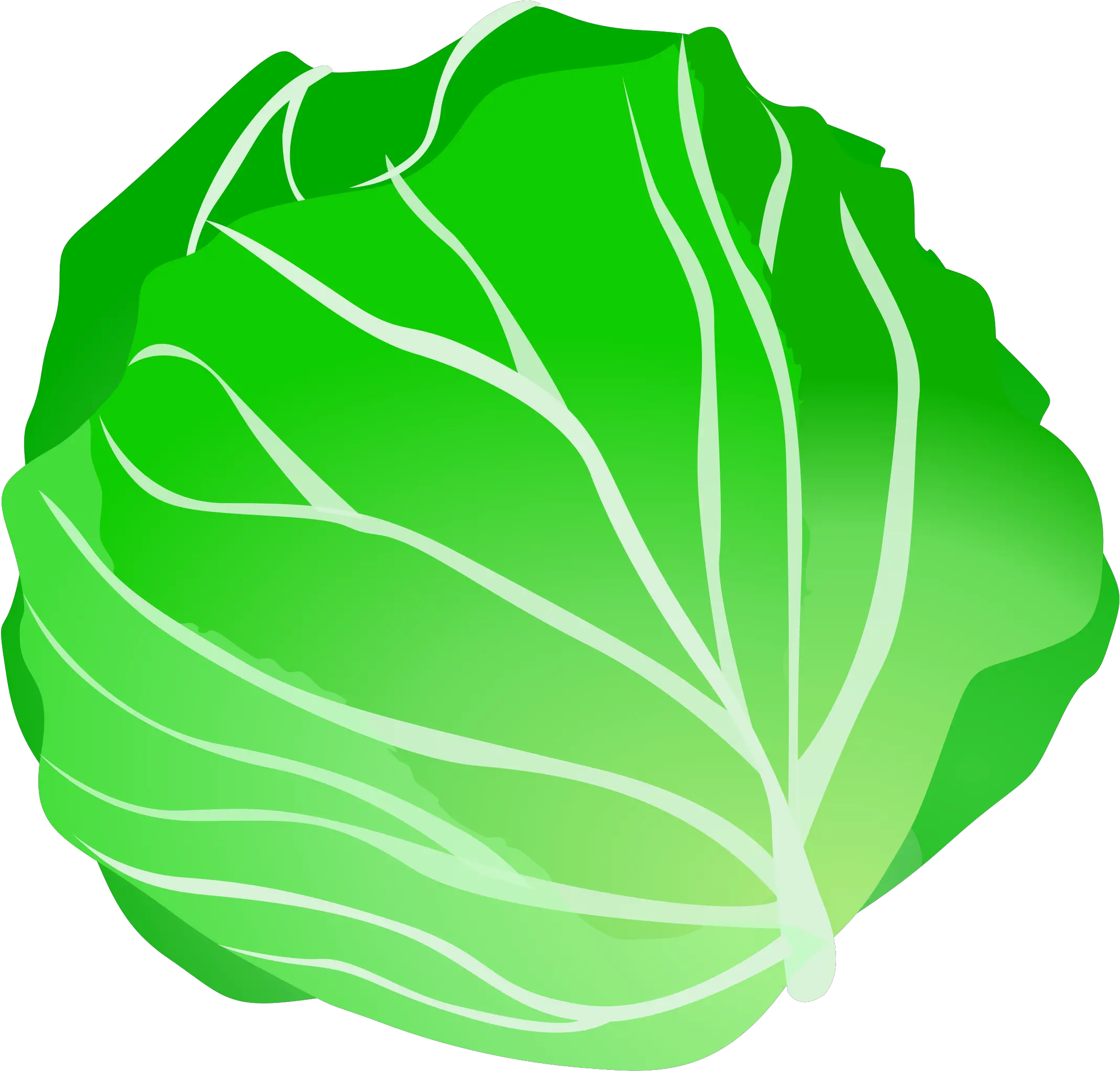 Vegetable Lettuce Fruit Clip Art Cabbage Transparent Png Lettuce Clip Art Salad Transparent Background