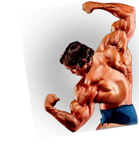 Bodybuilding Transparent Background Bodybuilder Transparent Background Png Body Builder Png