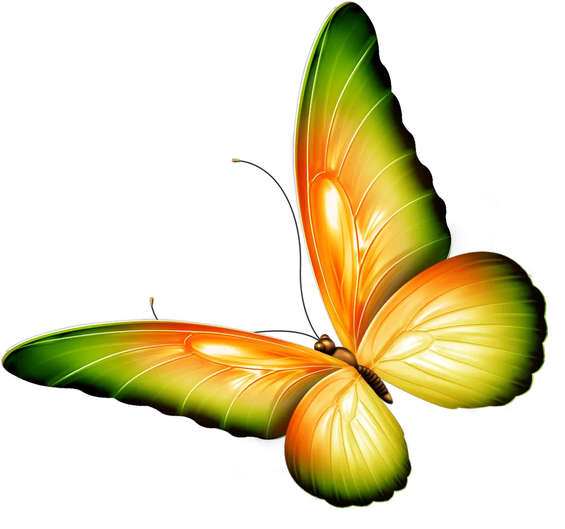 Butterfly Clip Art Yellow And Green Transparent Butterfly Transparent Butterfly Clip Art Png Butterfly Clipart Png png