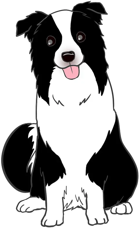 Border Collie Dog Animal Clipart Clipart Border Collie Free Png Border Collie Png png
