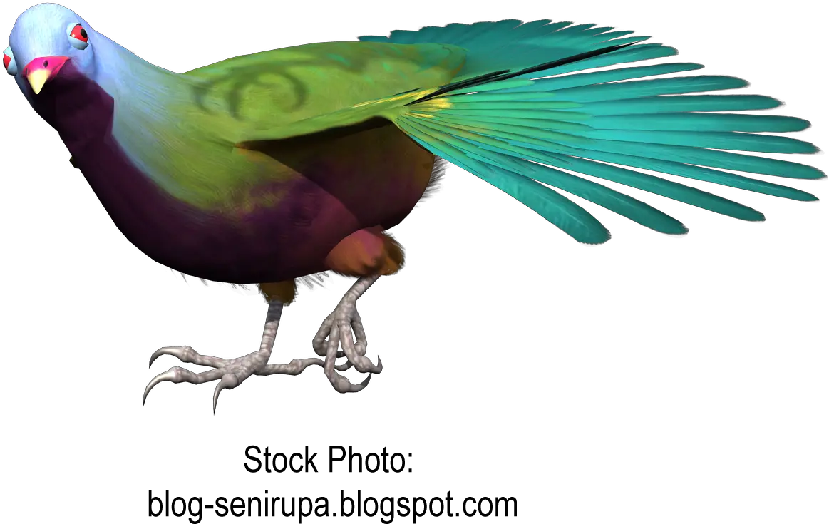Download Goose Macaw Bird Gulls Beak Free Png Hq Clipart Birds Macaw Png