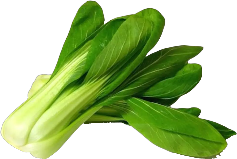 Bok Choy Png Image With Images Vegetables Grocery Bok Choy Png Celery Png