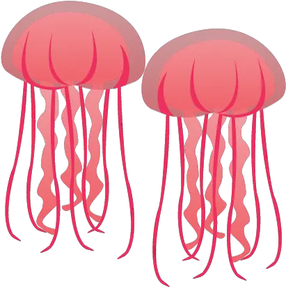 Dangerous Beach Creatures To Watch Out Jelly Fish Cartoon P Png Transparent Jellyfish