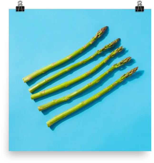J Sutton Photo Commercial Photographer U2014 Asparagus Print Ammunition Png Asparagus Png