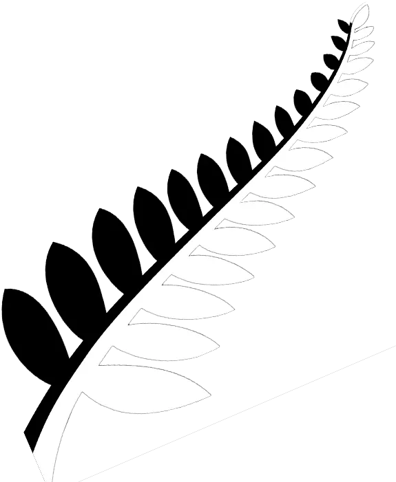 Download Stock Practicepte Newzealand Universities Study In New Zealand Leaf Logo Png New Zealand Flag Png