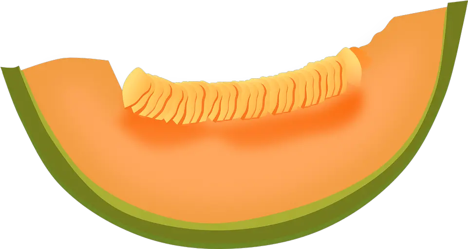 Cantaloupe Melon Fruit Cantaloupe Clipart Png Melon Png