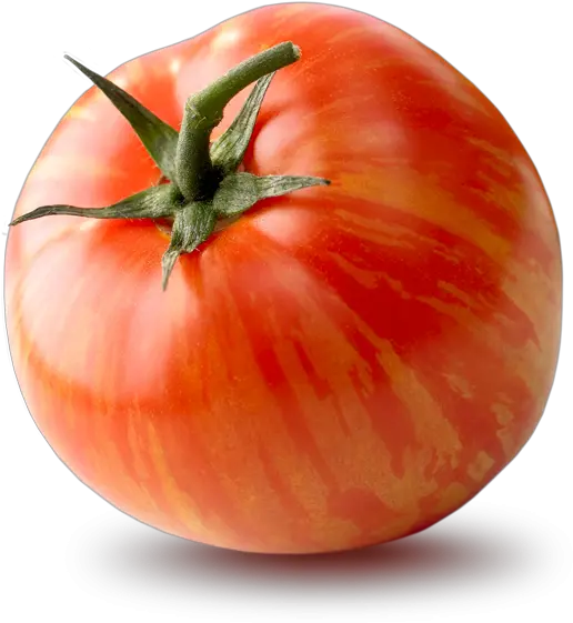 Our Tomatoes The Tomato Stall Plum Tomato Png Tomato Png