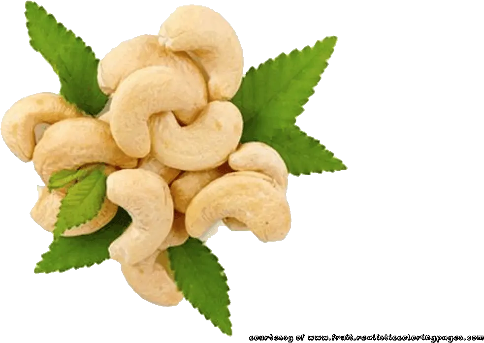 Download Rambutan Clipart Cashew Nut Cashewnut Free Png Cashew Png
