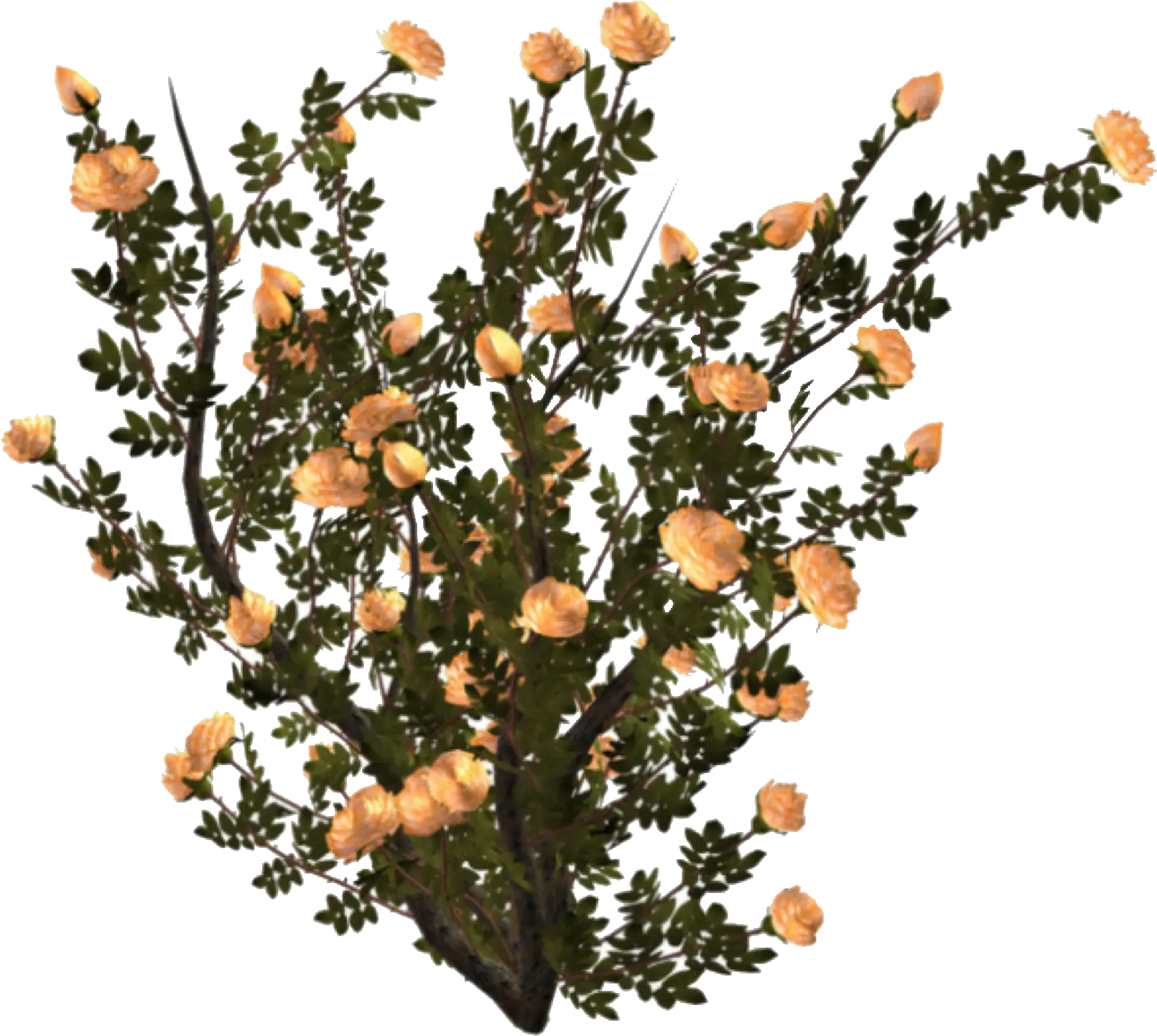 Aesthetic Plant Pngs Flower Bushes Png
