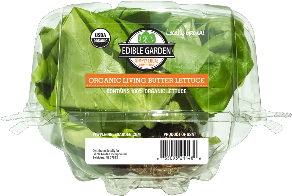 Living Butterhead Lettuce Edible Garden Png Lettuce Transparent