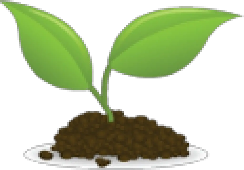 Picture Sapling Clipart Png Sprout Png