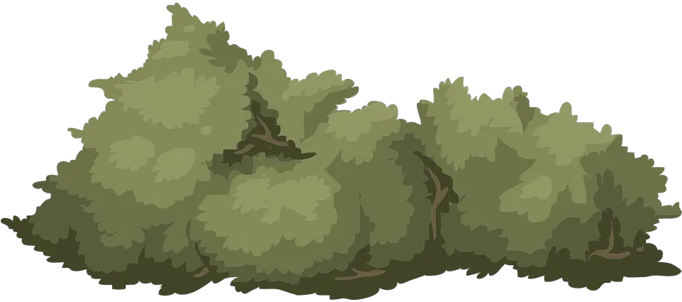 Bush Nature Green Bushes Illustration Png Bush Png