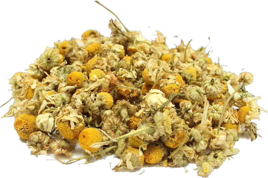 Camomile Dried Chamomile Png Transparent Cartoon Jingfm Manzanilla Comida Chamomile Png