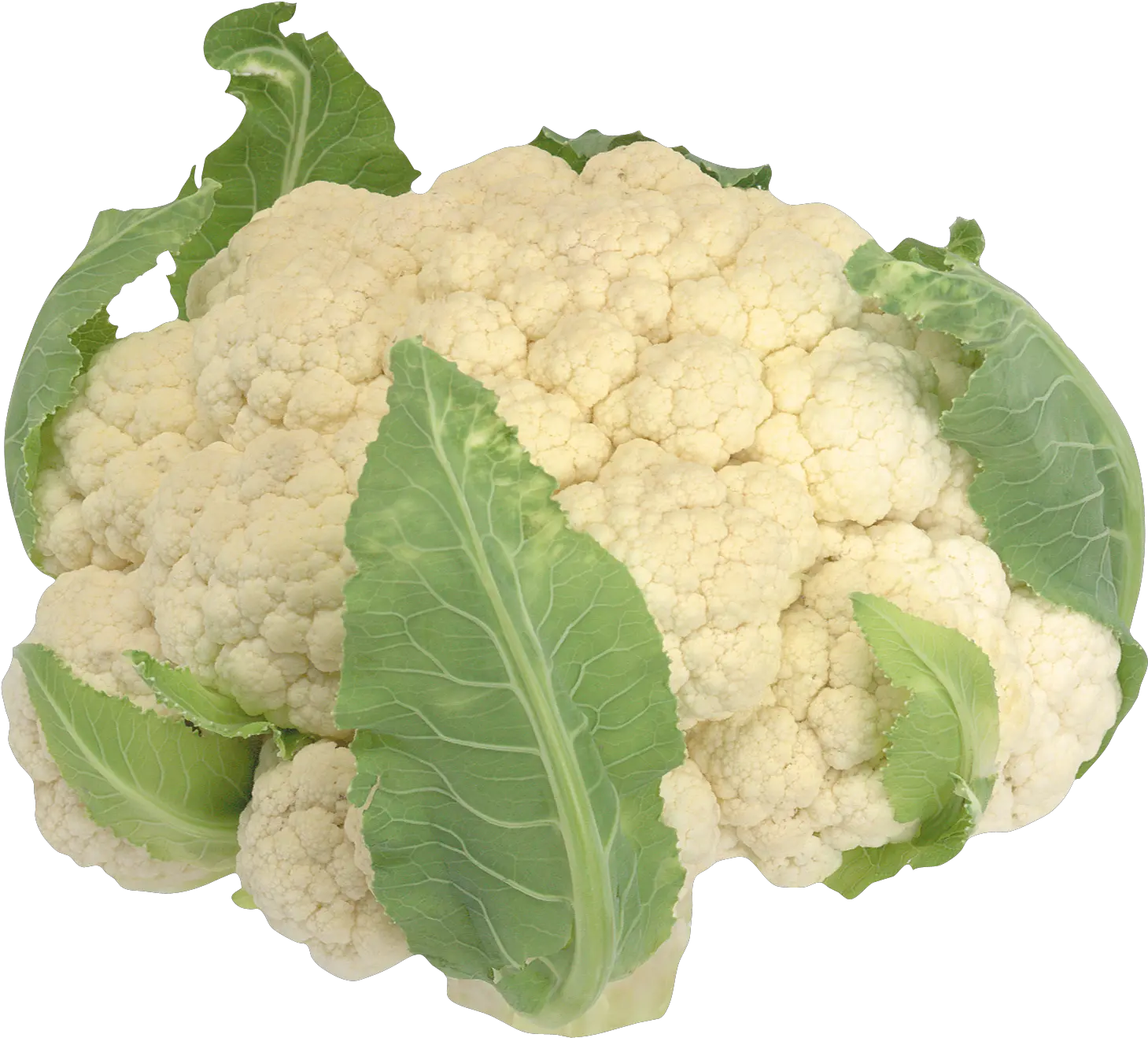Cauliflower Vegetables Food Transparent Cauliflower Clip Art Png Cabbage Transparent