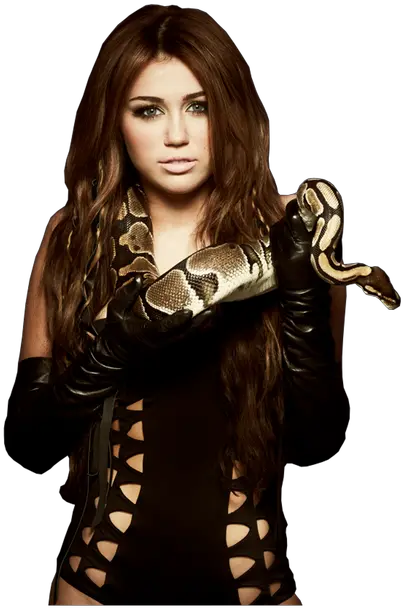 Miley Cyrus Xwateronfire Can T Be Tamed Miley Cyrus Era Png Miley Cyrus Png