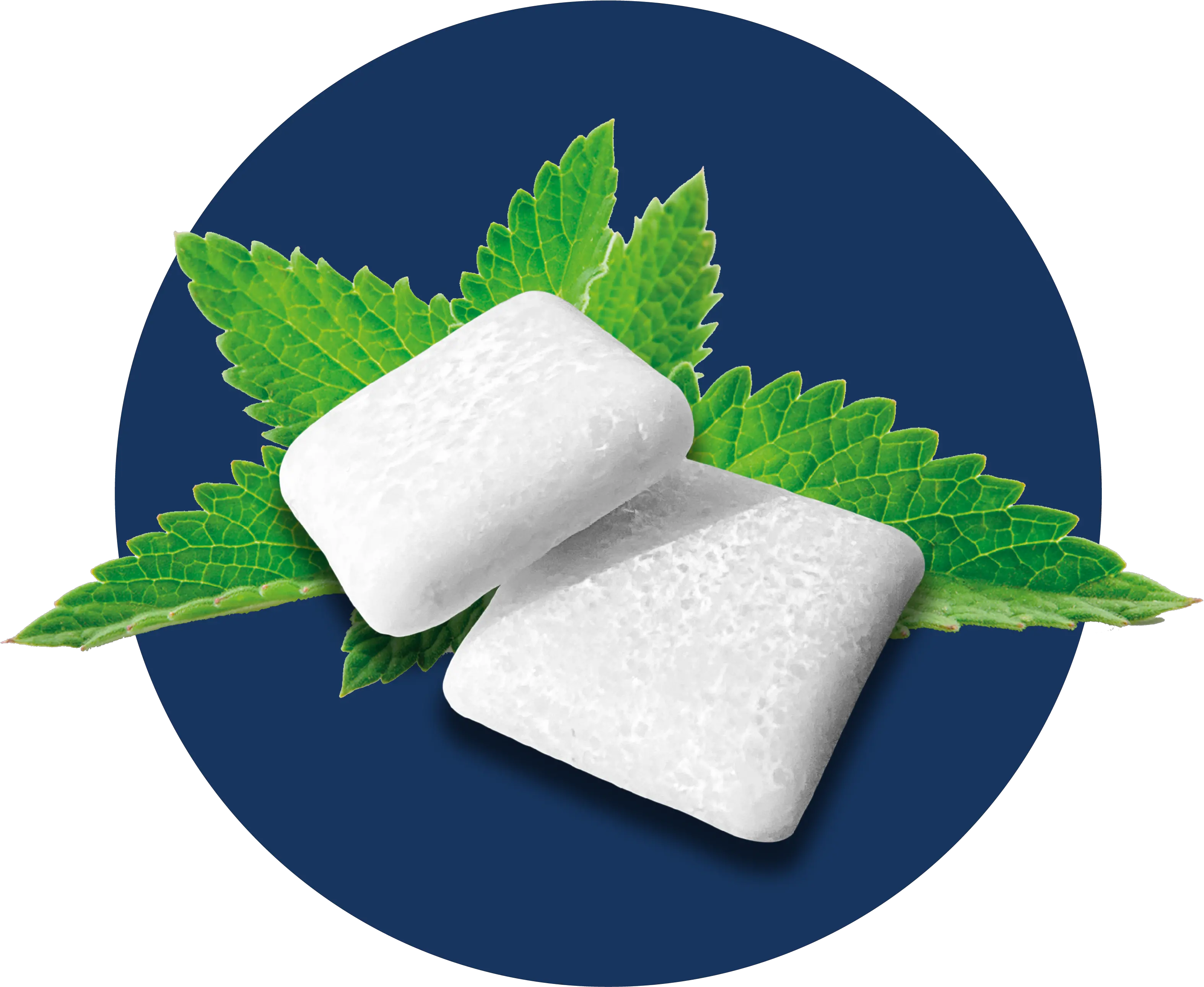 Home Axo Dental Confectionery Png Gum Icon