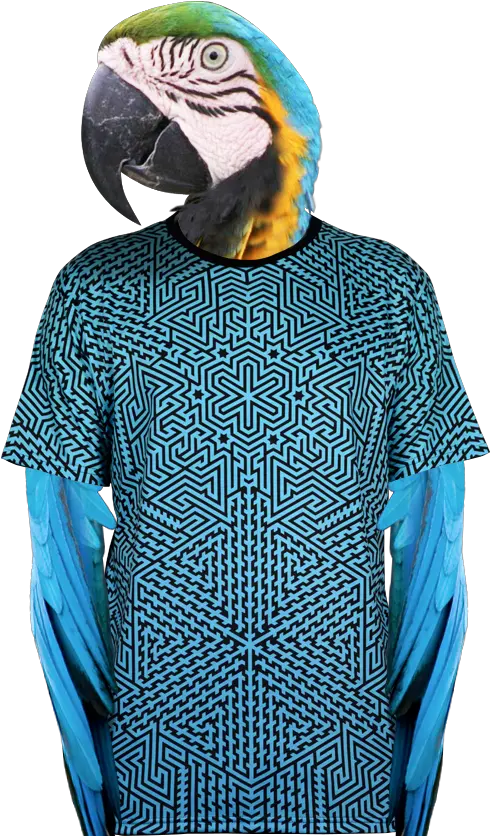 Alakazam Aop T Shirt Macaw Png Alakazam Png