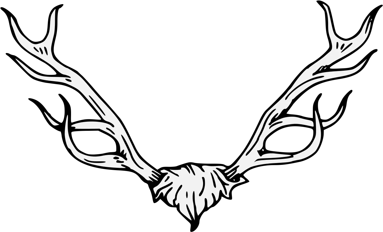 Download Hd Antler Clipart Traceable Transparent Png Image Head Cabossed Antler Png